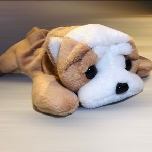 🐾Ty Beanie Wrinkles✨